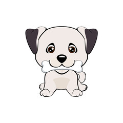 happy puppy with a bone waves a tail