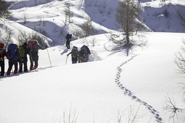 Fototapeta premium Some hikers face the snowy mountain on a sunny day, equipped with snowshoes.
