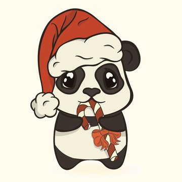 Cute Christmas panda bear in red Santa's hat with pompon eat sugar lollipop striped stick. Happy panda with candy cane. Bearcat in Christmas mood. Xmas card image. Merry Christmas and Happy New Year.