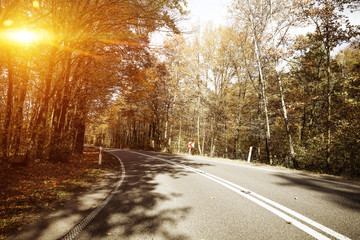 Autumn road background and free space for your decoration. 