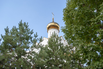 Fototapeta na wymiar The dome of the Church in the ornament of vegetation