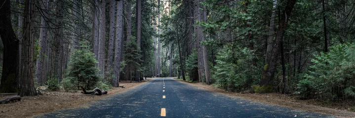 Fotobehang Strasse mitten durch den Wald im Yosemite Nationalpark © christophstoeckl