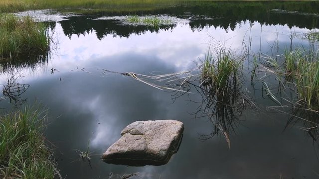 Black lake and marshes, forest in background, Crno jezero on Pohorje mountain, Slovenia, a natural habitat and popular travel and hiking destination, zoom pull out, skies reflection in water