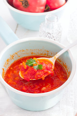 tomato sauce with vegetables in an enamel ladle, selective focus
