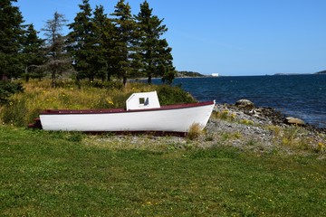 small fishing boat with a cabin grounded on shore, trees and ocean in the background, near Harbour Grace NL Canada