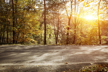 Autumn road background and free space for your decoration. 