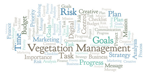 Vegetation Management word cloud, made with text only.