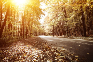 Autumn road background and sunset time. 