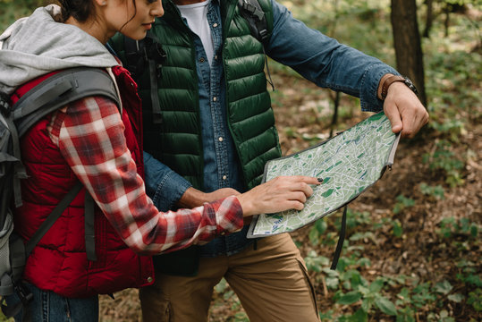 partial view of man and woman looking for destination on map while hiking in forest together