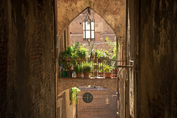 Siena