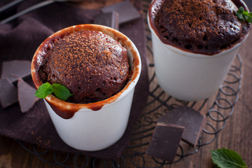 Chocolate cupcake, cooked glass in a microwave, horizontal
