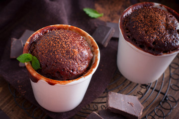 Chocolate cupcake, cooked glass in a microwave, horizontal
