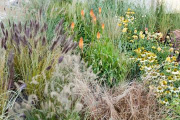 Greenery horticultural, botanical decoration herbs. Garden market, shop.
