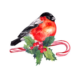 Christmas bird finch on candy cane and mistletoe. Watercolor