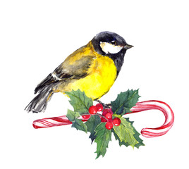 Christmas tit bird on candy cane and xmas mistletoe. Watercolor