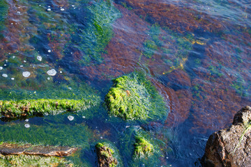 Photo of a sea landscape with a rocky beach