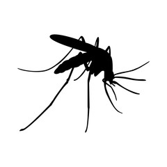 mosquito logo design template vector