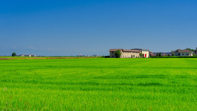 Countryside near Vercelli, Italy, at summer