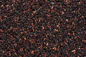 uncooked black rice