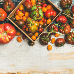 Fototapeta na wymiar Flat-lay of fresh colorful ripe Fall or Summer heirloom, bunch and cherry tomatoes veriety over rustic painted background, top view, copy space, square crop. Local market seasonal produce