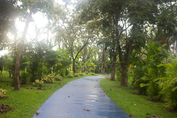 Obraz premium Pavement in park with green lawn sun light, Stone Pathway in a Green Park