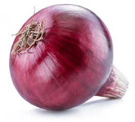 Red onion bulb on the white background. Macro shot.