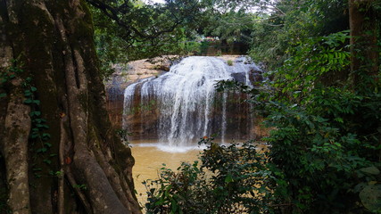 waterfall in the forest