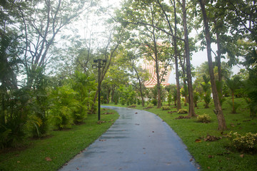 Path on the park
