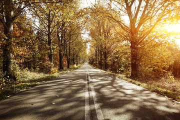 Autumn road background and sunset time. 