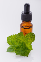 essential oil of peppermint on a white background
