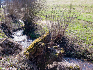 Obraz premium OLYMPUS DIGITAL CAMERA