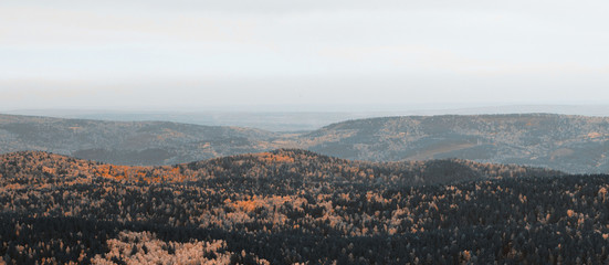 Beautiful orange and red autumn forest. Mysterious and fabulous forest. Many trees on the hills. Indian summer. The Nature Of Siberia. Spectacular view. Warm brown background.