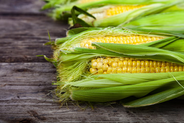 Ripe corn on a  wooden table.