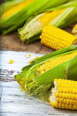 Ripe corn on a  wooden table.