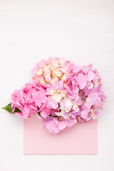 Hortensia flowers. Concept of celebration, greetings and holidays