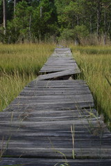 Obraz na płótnie Canvas wooden walk in marsh
