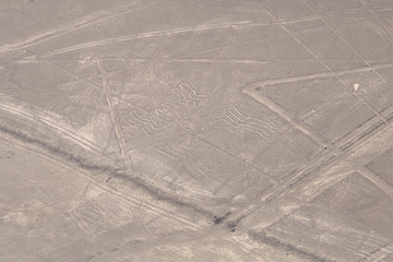 Lines and Geoglyphs of Nasca