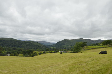 Fototapeta na wymiar Lake District View Hills & Fields
