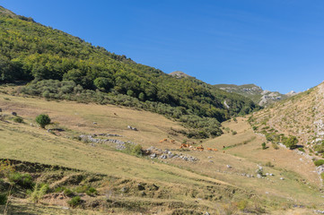 Fototapeta na wymiar View of a valley in leon mountain during a trekking activity