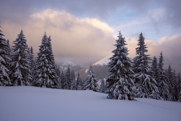 Fototapeta na wymiar Magical sunset in the winter mountains after snowfall