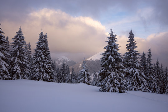 Magical sunset in the winter mountains after snowfall