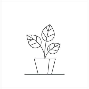 recommend clip art: Houseplant editable line vector illustration - outline indoor plant with three big leaves in flowerpot.