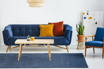 Armchair next to blue sofa with cushions and wooden table in flat interior with plant. Real photo