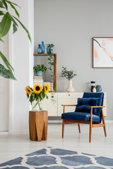 Sunflowers on wooden table next to blue armchair in grey interior with posters and carpet. Real...