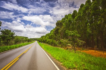 Road in Brazil