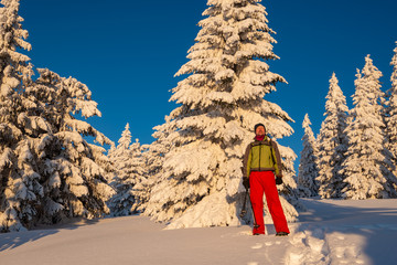 Adventurer stands in snowshoes among huge pine trees covered