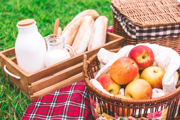 Summer picnic with a basket of food on blanket in the park.