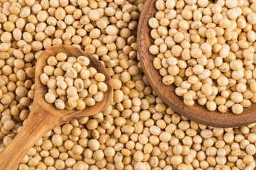 Dry soybeans - Glycine max. White background