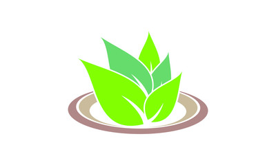 Leaf icon