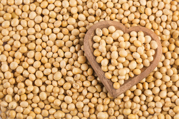 Dry soybeans - Glycine max. White background